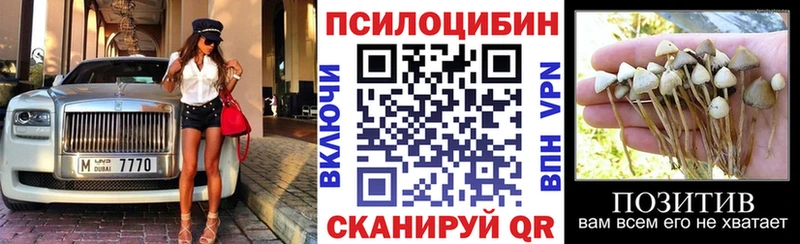 Купить закладки  Судак  Галлюциногенные грибы Cubensis 